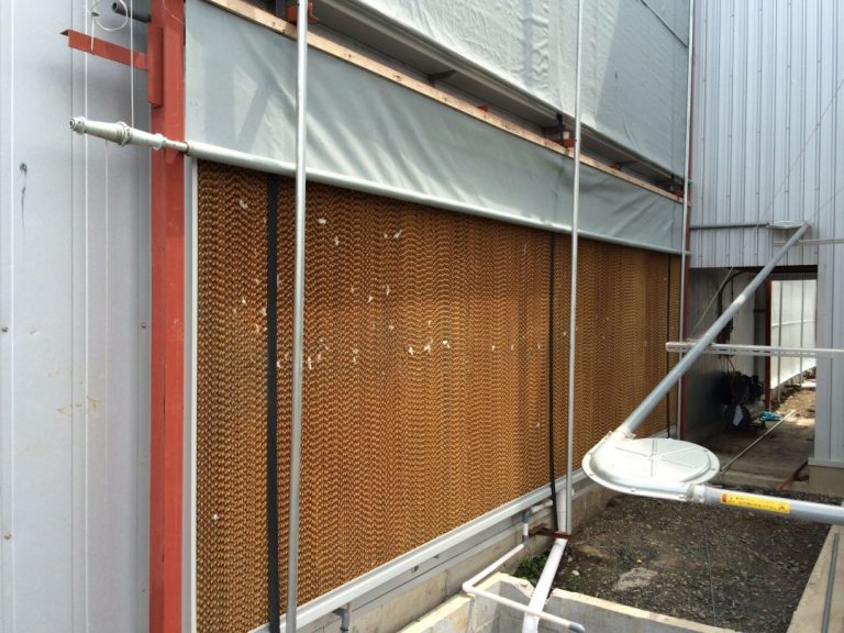 鶏舎の外壁に設置されたクーリングパッド